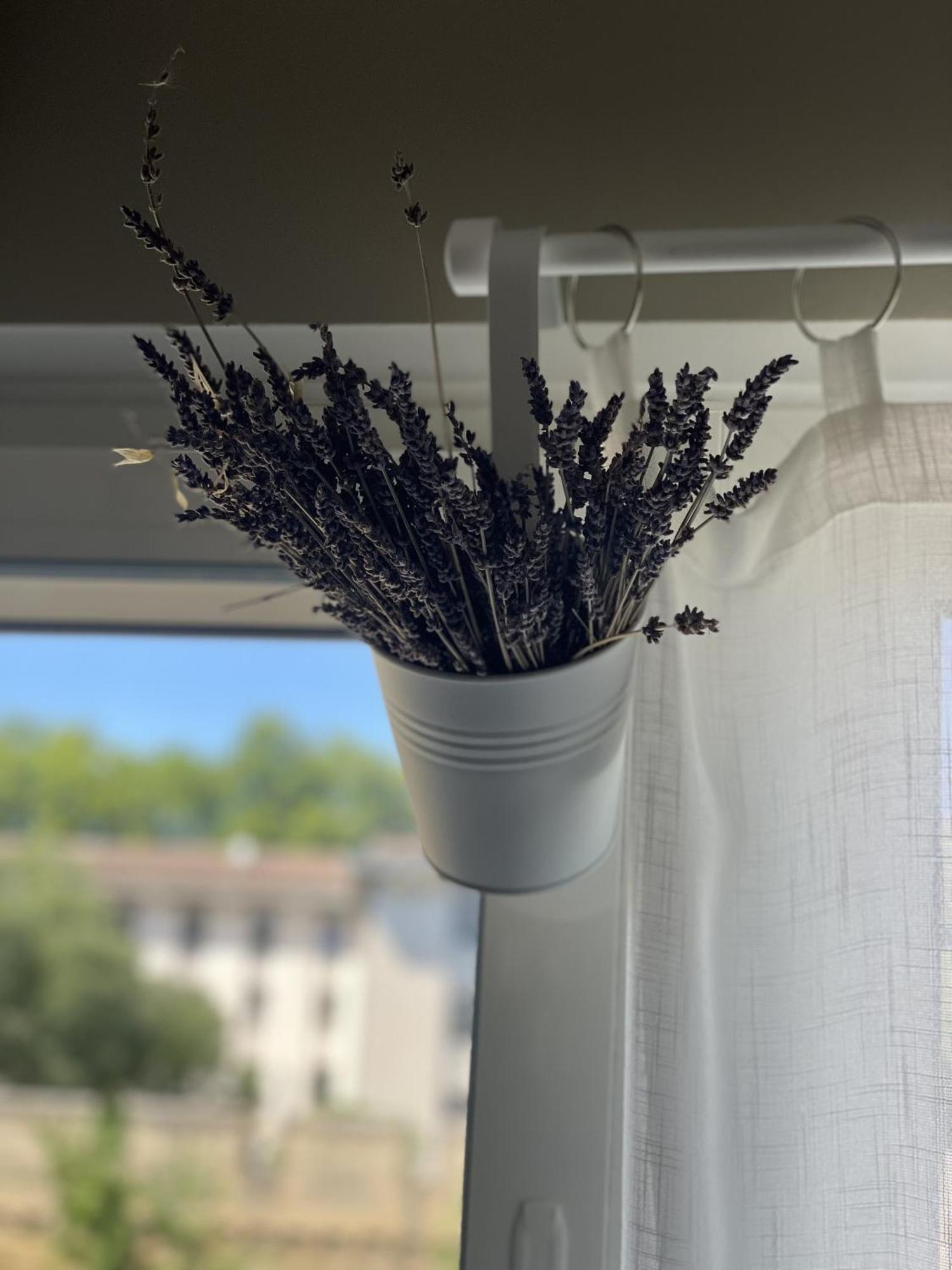 Appartement Chez Flo à Avignon Extérieur photo
